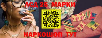 сатива Новозыбков