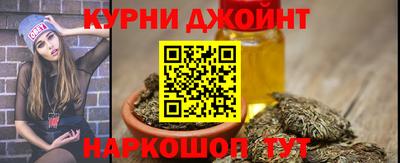 сатива Новозыбков