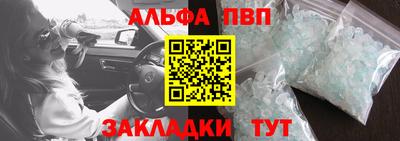 сатива Новозыбков
